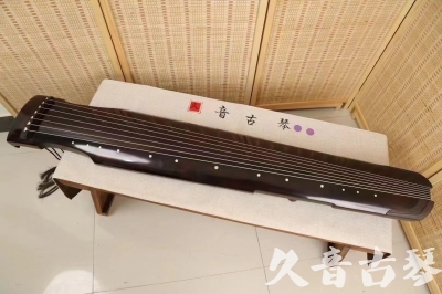 广西小白学古琴不会指法字符，一招带你玩转古琴20240429